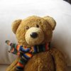 teddy bear profil fotoğrafı